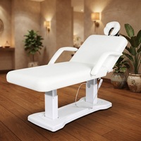 Table de massage électrique à 3 moteurs, oreiller amovible, lit de physiothérapie réglable pour salon de beauté, design moderne pour hôtel et spa