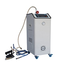 24kw à induction électrique générateur de vapeur avec 32 kg capacité largement utilisé dans la salle de lavage