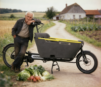 Bicicletta Elettrica da Carico Stile Olandese, Bici Cargo Familiare con Carico Frontale, Bici da Carico per Bambini, Motore BAFANG 250W, Capacità di Carico 150KG