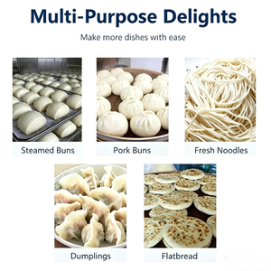 Mélangeur à pâte commercial en acier inoxydable pour <span class=keywords><strong>farine</strong></span> et boulangerie, état neuf avec moteur et composants essentiels pour le mélange de la pâte - Product Image 6
