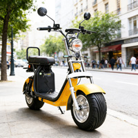 Vélo électrique à deux roues certifié CE, batterie amovible CP1.9, pneus larges, transport urbain, 45 km/h, 200 kg, non pliable, 85 cm