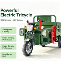 Kart électrique tout-terrain 750W 48V pour adultes avec batterie 20Ah, moteur BLDC, transmission par arbre, buggy des dunes, utilisation en extérieur, 70 km/h, charge 200 kg