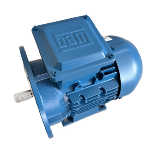 Motor de Inducción Trifásico WEG W22, Eficiencia IE4, Protección IP65, Refrigeración TEFC, 132kW, 50/60Hz, Brida de Hierro Fundido, 12/18 Meses - Product Image 6