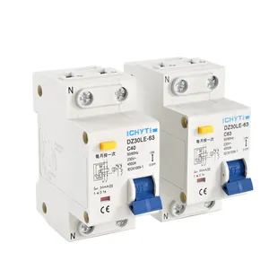 Fabrikanten 2P Rccb Rcbo Rcd Dz30le Resterende Stroomonderbreker Met 16a 20a 40a Ac 230V