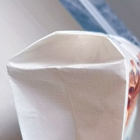 Nouvel Arrivage Sac à fond carré en plastique laminé BOPP de 15, 20, 25, 30 kg, sac pour aliments pour chiens en PP, prix d'usine