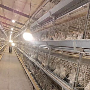 Cage de couche d'isolement de poulet de type H de haute qualité de 2.0mm d'épaisseur petite cage de ponte automatique de volaille fabriquée en Chine - Product Image 4