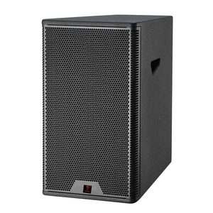 Altoparlante Professionale Full-Range da 12 Pollici con Driver per Teatri, Auditorium e Stadi Sportivi - Product Image 1