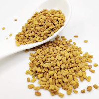Fenugrec biologique/Poudre de fenugrec-Haute pureté et nutriments riches