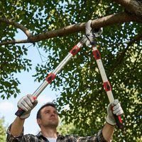 Sécateur télescopique à cliquet facile à utiliser, perche extensible de 1,3 m, conception ergonomique pour économiser l'effort, idéal pour la maison, le jardin, les rosiers et les arbres fruitiers