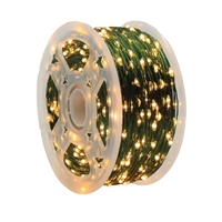 Ligne verte transfrontalière LED fil de cuivre arbre de Noël chaîne télécommande pétard pour fleur extérieure plante verte vigne