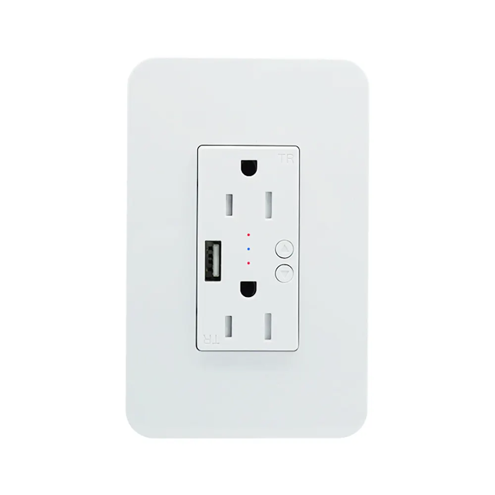 Wall socket plug with USB