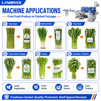 Paddenstoel Tomaat Verse Groente Fruit Bieslook Verpakking Verpakkingsmachines Machine