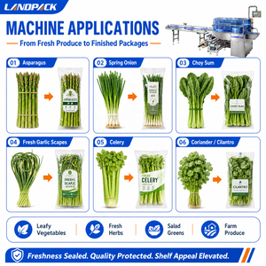 Maquinaria <span class=keywords><strong>de</strong></span> Empaquetado para Champiñones, Tomates, Verduras Frescas, Frutas y Cebollitas - Product Image 3