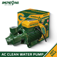 Pompe à eau propre QB60 Iron Clean 370W 0.5HP, pompe à eau de surface électrique, débit 1.5m³/h, hauteur de refoulement 8m, pompe centrifuge OEM pour maison et jardin