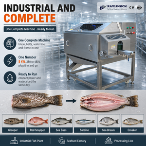 Abridora de Pescado Industrial Acero Inoxidable 304 Pescado Abierto y Plano con Espina Central para Mero Huachinango Tilapia - Product Image 1