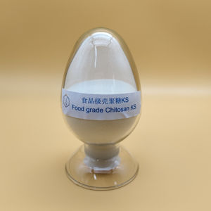 Polvere di chitosano di origine naturale puro guscio di granchio KS per additivo con il prezzo di fabbrica - Product Image 5