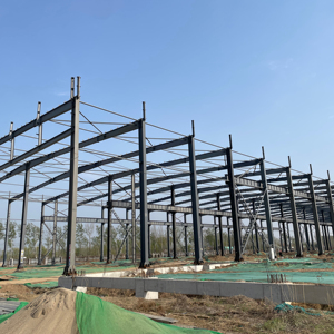 Phong Cách Hiện Đại Đúc Sẵn Kết Cấu Thép Nhà Xây Dựng Hội Thảo Nhà Kho Kết Cấu Thép Cho Xây Dựng - Product Image 2