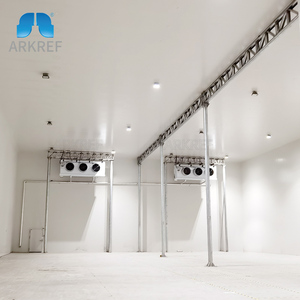 ARKREF Meilleur prix Chambre froide industrielle/ Chambre froide commerciale/ Chambre de congélation pour blocs de glace - Product Image 2