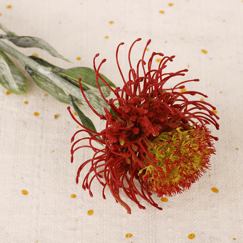 สีแดงเข้ม