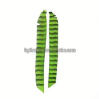 Véritable aile naturelle tir à l'arc flèche plume empennage aubes plume de dinde pour bricolage tir à l'arc chasse cible tir flèche accessoire