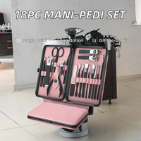 Vente flash : Ensemble de manucure 18 pièces en acier inoxydable noir, coupe-ongles, outils de toilettage, soin des ongles pour la maison, le salon et les voyages