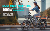 Vélo électrique Ridstar à logo personnalisé Vélo électrique électrique 750W bon marché du fabricant Fatbike Vélo électrique de ville électrique pour adultes