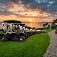 Voiturette de golf électrique personnalisable printemps, buggy tout-terrain, batterie lithium, capacité de montée 25 %, vitesse 30-50 km/h, autonomie 90 km, 3-4 places
