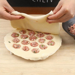 Moule à raviolis en silicone à 19 trous pour une préparation facile des raviolis, outil de cuisine - Product Image 4