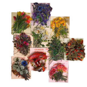 40 Sheets Per Pack Eco-Friendly PVC Nature Museum Handbook Sticker Pack Vintage Children's Anime Butterfly Flowers Stickers - Product Image 1