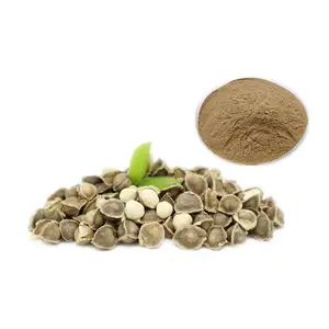 High Quality moringa seed extract powder food nutrition