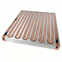 Plaque de refroidissement à eau à haute efficacité thermique 255*293*20mm en aluminium+copper avec raccord NPT