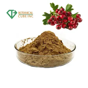 Natrual High Quality Food Grade Plant Extract 0.6% Hyperoside Hawthorn Leaf Extract Powder