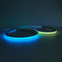 Bande lumineuse LED en silicone à illusions colorées 24V 16-16 avec bords, dimmable, étanche IP68, couleur personnalisée, contrôle tactile via application, CRI90