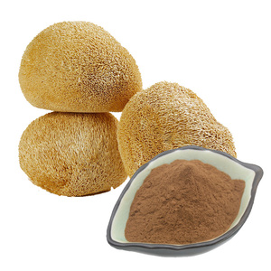 مستخلص فطر عرف الأسد (هيريسيوم إريناسيوس) الطبيعي عالي الجودة، فطر عرف الأسد المجفف النقي - Product Image 4