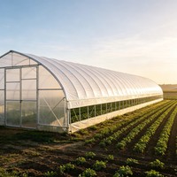 Serre en PE monocouche de grande taille 30 x 10 m avec système de ventilation pour la culture de fleurs et de plantes