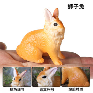 yxs Jouet modèle d'animal de compagnie mignon, simulation cognitive transfrontalière, lion, lapin, <span class=keywords><strong>bouledogue</strong></span>, Bully, Shiba Inu, Corgi en plastique solide - Product Image 4
