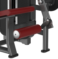Machine de musculation des jambes à double fonction (extension et flexion) pour salle de sport et centre de fitness