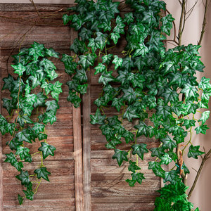 Plantas Artificiales Colgantes Surtidas, Hiedras Artificiales, Monstera, Eucalipto, para Decoración de Paredes de Hogar y Hotel, Proveedor Mayorista - Product Image 5