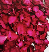 Kelopak Mawar Kering Alami Asal Yunnan, Wangi, untuk Dekorasi Thanksgiving, Hadiah Romantis, Kemasan Indoor/Outdoor