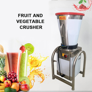 Extracteur de jus industriel électrique en acier inoxydable, machine à mélanger les légumes, les fruits et les carottes - Product Image 2