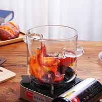 Marmite en verre borosilicate à double poignée de 2000 ml, ensemble écologique, compatible lave-vaisselle, couvercle en verre résistant à la chaleur, compatible gaz, pour soupes