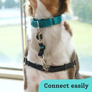 Arnés ajustable de nailon para perros Gentle Creatures con pinza de respaldo y cierre de doble extremo, compañero de <span class=keywords><strong>collar</strong></span> de seguridad - Product Image 5