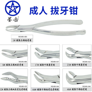 Forceps d'extraction dentaire pour adultes et enfants, forceps pour les dents de lait et les dents de sagesse, forceps pour les restes de racines, instruments chirurgicaux en acier inoxydable - Product Image 5