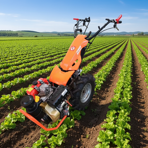 Diesel Power Tiller <b>Cultivator</b> for Vegetable Farm and Orchard Soil Preparation - Product Image 1