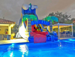 Trẻ Em Trượt Nước Sản Phẩm Bơm Hơi Cho Người Lớn Và Trẻ Em Thương Mại Hot Bán Bơm Hơi Khổng Lồ Trượt Nước Cho Hồ Bơi - Product Image 3