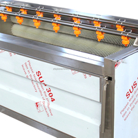 304 roestvrijstalen voedselveilige machine voor het wassen en schillen van groenten en fruit met motor, capaciteit 50-2000 kg/uur
