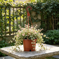 Pot de fleurs suspendu en plastique avec crochet, paniers à fleurs suspendus, support de pot de pépinière pour plantes d'extérieur et d'intérieur, jardin