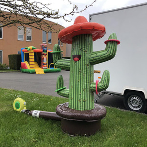 Divertido Juego Inflable de Lanzamiento de Anillos de <span class=keywords><strong>Cactus</strong></span> de PVC, Juego Deportivo Inflable, Juegos Inflables de Carnaval para Eventos Infantiles - Product Image 1