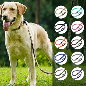 Laisse pour chien à ressort avec boucle à dégagement rapide - Laisse d'entraînement élastique réglable, mousqueton pour la course en extérieur, la marche, l'utilisation tactique - Product Image 2