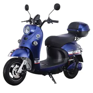 Cyclomoteur électrique rechargeable Street Legal pour femmes adultes, moto électrique à deux roues et longue autonomie, moto électrique de route de sport